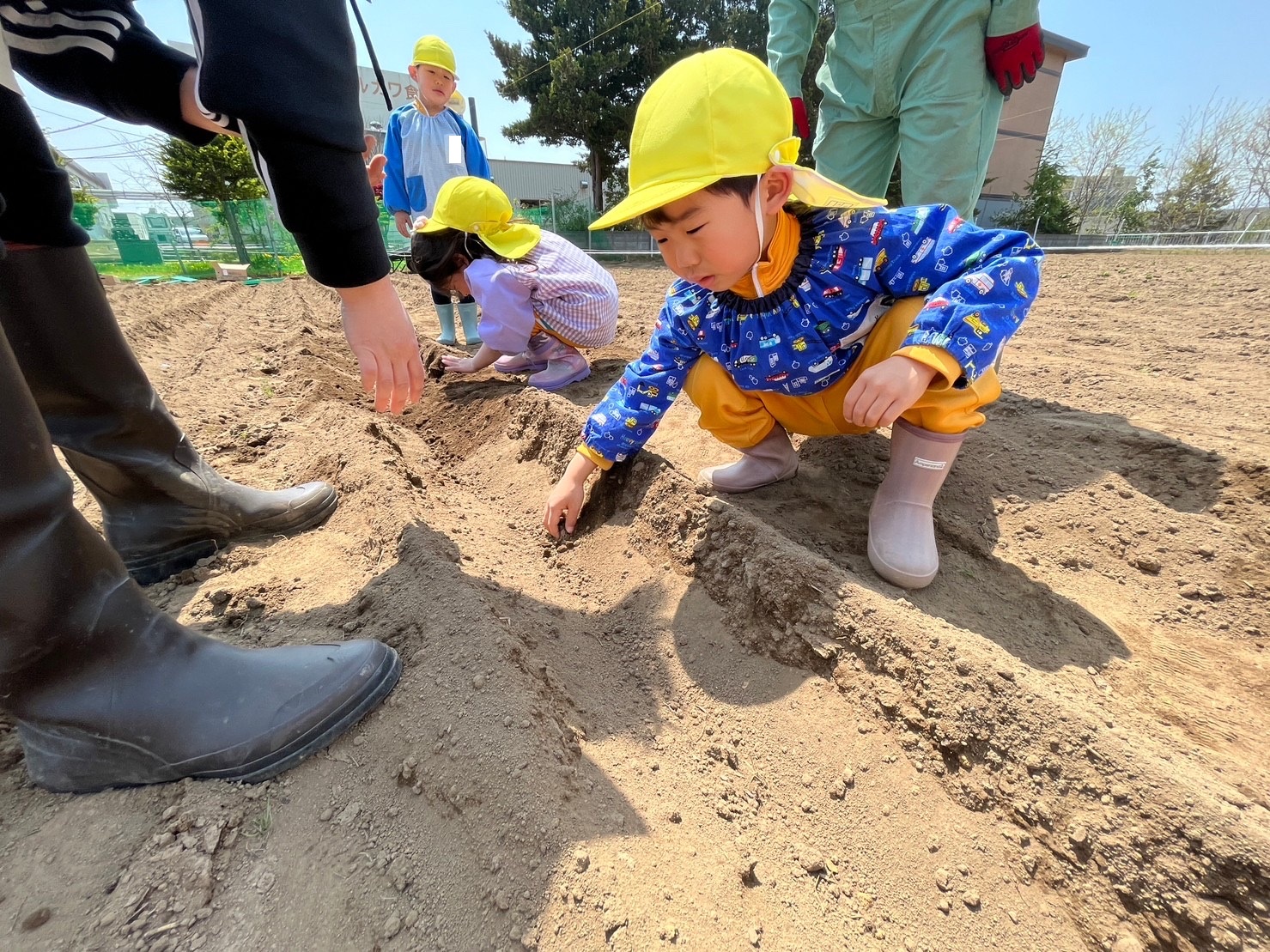 いもうえ７